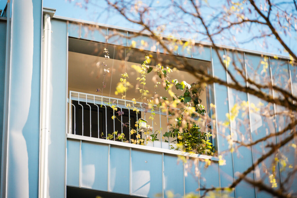 Nahaufnahme eines Balkons hinter durchscheinenden Ästen.
